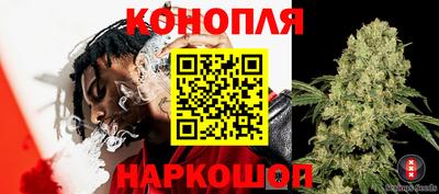 прущие грибы Ярославль
