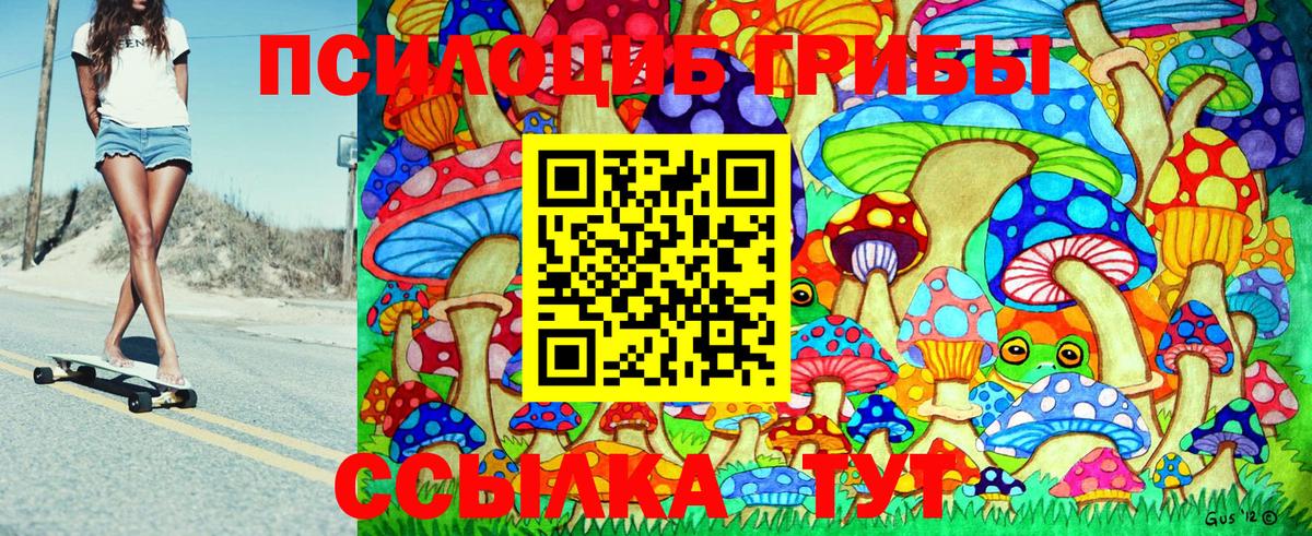 Сегежа  Галлюциногенные грибы MAGIC MUSHROOMS  Псилоцибиновые грибы мухоморы  Вход с VPN 